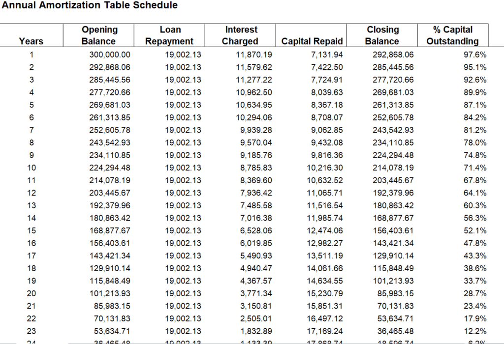 Annual Amoritzation Table Schedule Template preview