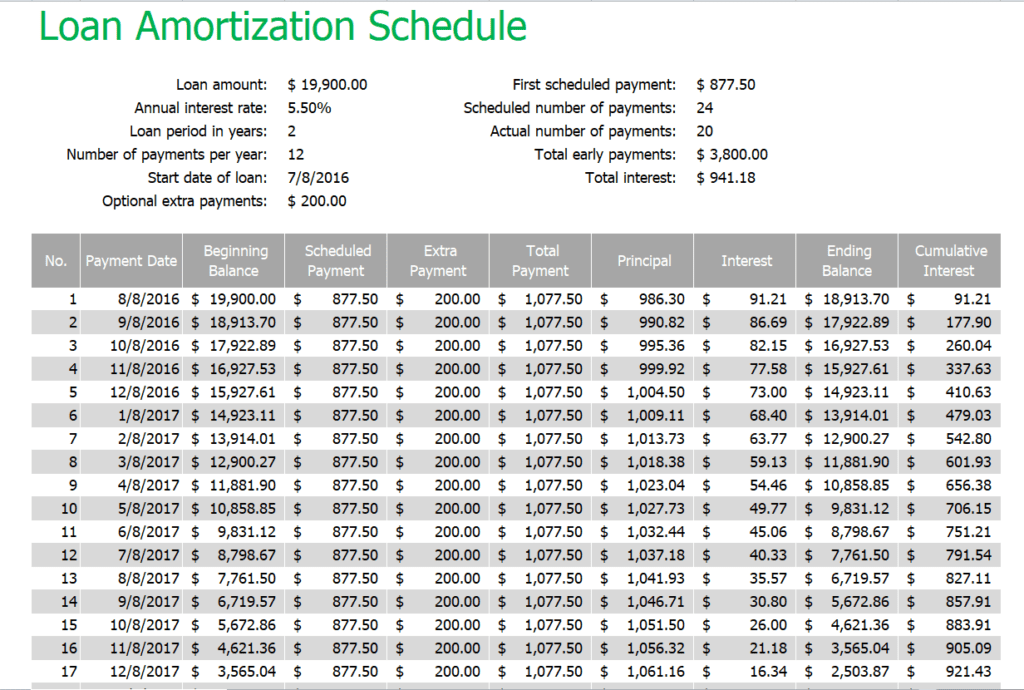 Bank Loan Amoritzation Schedule Template preview