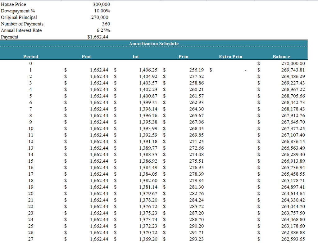 Professional Amoritzation Schedule Template preview